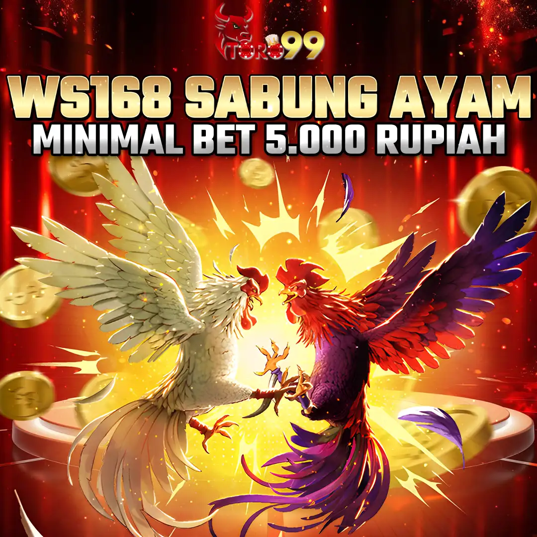 TORO99 Sabung Ayam